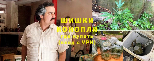 винт Алзамай